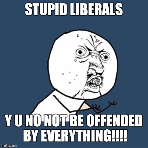 Y U No | STUPID LIBERALS; Y U NO NOT BE OFFENDED BY EVERYTHING!!!! | image tagged in memes,y u no | made w/ Imgflip meme maker