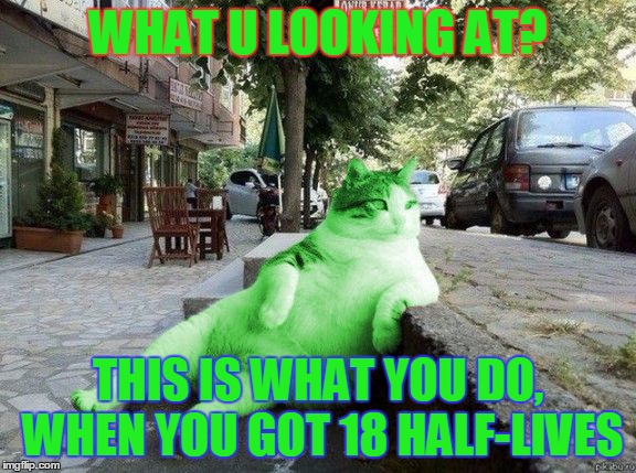 RayCat relaxing | WHAT U LOOKING AT? THIS IS WHAT YOU DO, WHEN YOU GOT 18 HALF-LIVES | image tagged in raycat relaxing,memes | made w/ Imgflip meme maker
