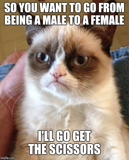 Grumpy Cat | SO YOU WANT TO GO FROM BEING A MALE TO A FEMALE; I'LL GO GET THE SCISSORS | image tagged in memes,grumpy cat | made w/ Imgflip meme maker