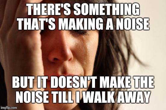 First World Problems Meme | THERE'S SOMETHING THAT'S MAKING A NOISE; BUT IT DOESN'T MAKE THE NOISE TILL I WALK AWAY | image tagged in memes,first world problems | made w/ Imgflip meme maker