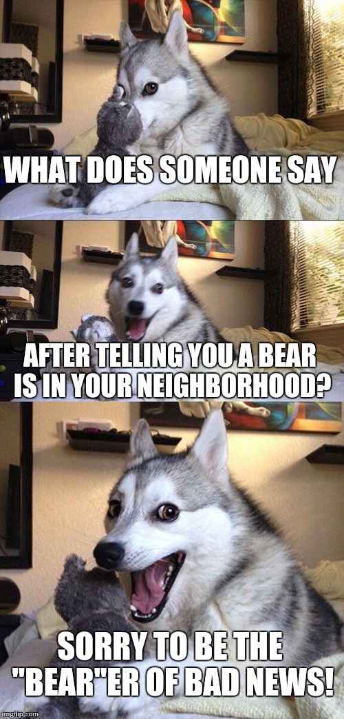 Actually had one in my area a few weeks back | WHAT DOES SOMEONE SAY; AFTER TELLING YOU A BEAR IS IN YOUR NEIGHBORHOOD? SORRY TO BE THE "BEAR"ER OF BAD NEWS! | image tagged in memes,bad pun dog | made w/ Imgflip meme maker