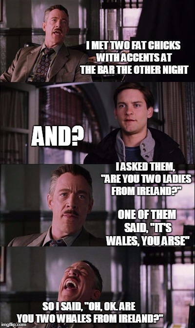 Spiderman Laugh | I MET TWO FAT CHICKS WITH ACCENTS AT THE BAR THE OTHER NIGHT; AND? I ASKED THEM, "ARE YOU TWO LADIES FROM IRELAND?"; ONE OF THEM SAID, "IT'S WALES, YOU ARSE"; SO I SAID, "OH, OK. ARE YOU TWO WHALES FROM IRELAND?" | image tagged in memes,spiderman laugh | made w/ Imgflip meme maker