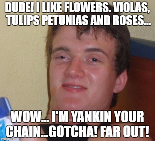 10 Guy Meme | DUDE! I LIKE FLOWERS. VIOLAS, TULIPS PETUNIAS AND ROSES... WOW... I'M YANKIN YOUR CHAIN...GOTCHA! FAR OUT! | image tagged in memes,10 guy | made w/ Imgflip meme maker