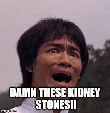 Even The Master Can Be Beaten | DAMN THESE KIDNEY STONES!! | image tagged in kidney stones,bruce lee,pain,martial arts | made w/ Imgflip meme maker