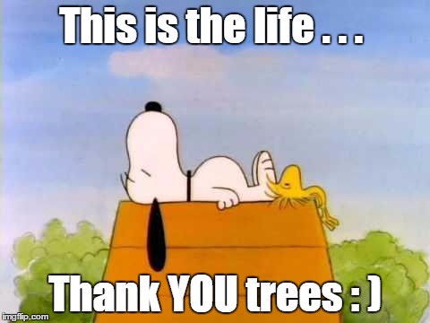 snoopywood | This is the life . . . Thank YOU trees : ) | image tagged in snoopywood | made w/ Imgflip meme maker