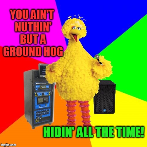 Wrong lyrics karaoke big bird | YOU AIN'T NUTHIN' BUT A GROUND HOG; HIDIN' ALL THE TIME! | image tagged in wrong lyrics karaoke big bird | made w/ Imgflip meme maker