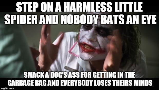 And everybody loses their minds Meme | STEP ON A HARMLESS LITTLE SPIDER AND NOBODY BATS AN EYE; SMACK A DOG'S ASS FOR GETTING IN THE GARBAGE BAG AND EVERYBODY LOSES THEIRS MINDS | image tagged in memes,and everybody loses their minds | made w/ Imgflip meme maker