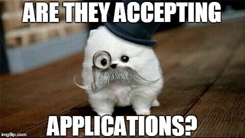 Sophisticated Dog | ARE THEY ACCEPTING APPLICATIONS? | image tagged in sophisticated dog | made w/ Imgflip meme maker