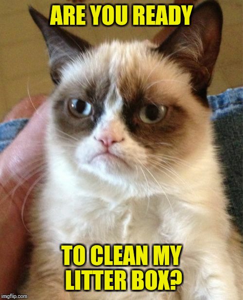 Grumpy Cat Meme | ARE YOU READY TO CLEAN MY LITTER BOX? | image tagged in memes,grumpy cat | made w/ Imgflip meme maker
