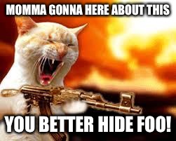 gangster cat | MOMMA GONNA HERE ABOUT THIS; YOU BETTER HIDE FOO! | image tagged in gangster cat | made w/ Imgflip meme maker