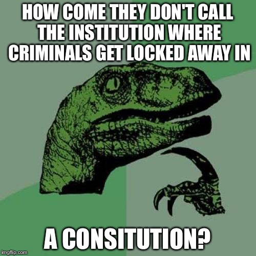 Philosoraptor Meme | HOW COME THEY DON'T CALL THE INSTITUTION WHERE CRIMINALS GET LOCKED AWAY IN; A CONSITUTION? | image tagged in memes,philosoraptor | made w/ Imgflip meme maker