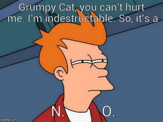 Futurama Fry Meme | Grumpy Cat, you can't hurt me. I'm indestructable. So, it's a N.          O. | image tagged in memes,futurama fry | made w/ Imgflip meme maker