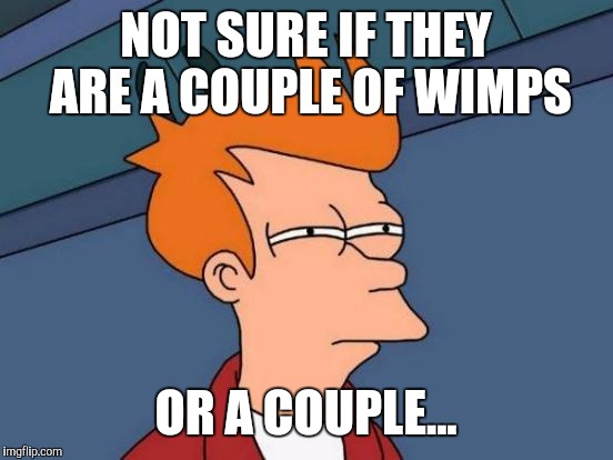 Futurama Fry Meme | NOT SURE IF THEY ARE A COUPLE OF WIMPS OR A COUPLE... | image tagged in memes,futurama fry | made w/ Imgflip meme maker