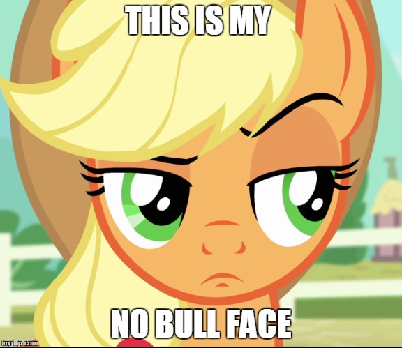 applejack doesn't approve | THIS IS MY; NO BULL FACE | image tagged in my little pony,applejack | made w/ Imgflip meme maker