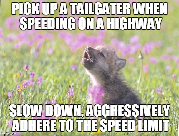 Baby Insanity Wolf Meme | PICK UP A TAILGATER WHEN SPEEDING ON A HIGHWAY; SLOW DOWN, AGGRESSIVELY ADHERE TO THE SPEED LIMIT | image tagged in memes,baby insanity wolf,AdviceAnimals | made w/ Imgflip meme maker
