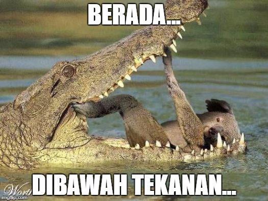 BERADA... DIBAWAH TEKANAN... | made w/ Imgflip meme maker