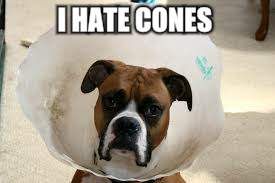 I HATE CONES | made w/ Imgflip meme maker