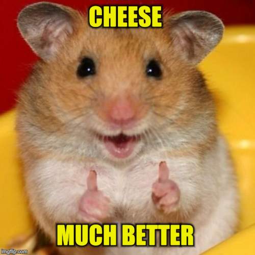 Two Thumbs Up | CHEESE MUCH BETTER | image tagged in two thumbs up | made w/ Imgflip meme maker