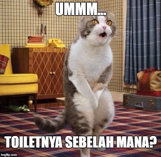 UMMM... TOILETNYA SEBELAH MANA? | made w/ Imgflip meme maker