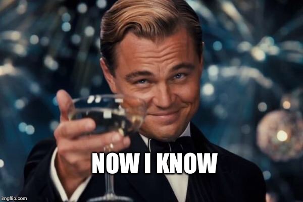 Leonardo Dicaprio Cheers Meme | NOW I KNOW | image tagged in memes,leonardo dicaprio cheers | made w/ Imgflip meme maker