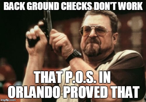 Am I The Only One Around Here | BACK GROUND CHECKS DON'T WORK; THAT P.O.S. IN ORLANDO PROVED THAT | image tagged in memes,am i the only one around here | made w/ Imgflip meme maker