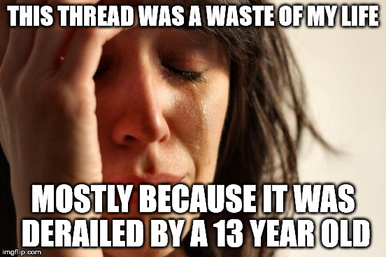 First World Problems Meme | THIS THREAD WAS A WASTE OF MY LIFE MOSTLY BECAUSE IT WAS DERAILED BY A 13 YEAR OLD | image tagged in memes,first world problems | made w/ Imgflip meme maker