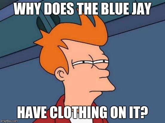 Futurama Fry Meme | WHY DOES THE BLUE JAY HAVE CLOTHING ON IT? | image tagged in memes,futurama fry | made w/ Imgflip meme maker