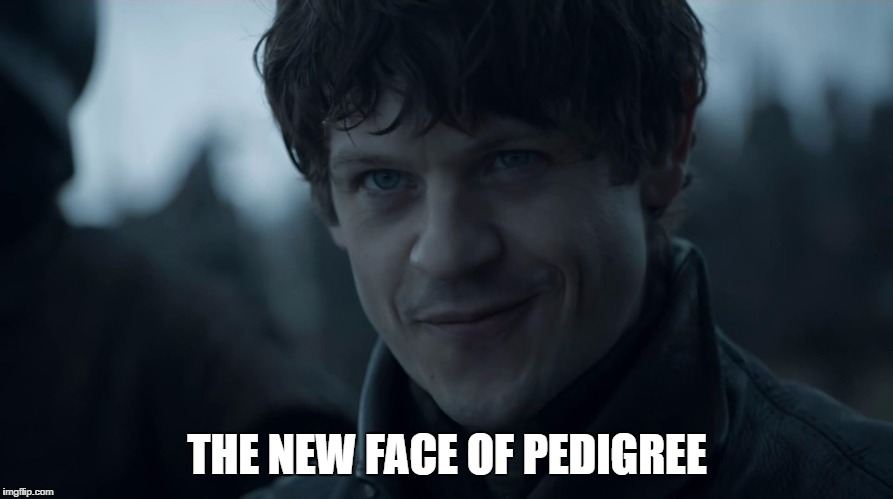THE NEW FACE OF PEDIGREE | image tagged in bolton | made w/ Imgflip meme maker