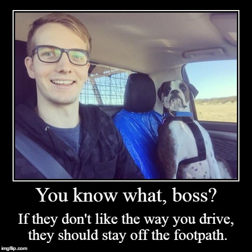 Driving lessons. | image tagged in funny,demotivationals,memes,funny dog | made w/ Imgflip demotivational maker