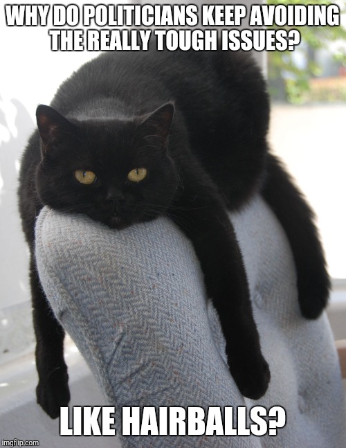 Draped Cat Be Like | WHY DO POLITICIANS KEEP AVOIDING THE REALLY TOUGH ISSUES? LIKE HAIRBALLS? | image tagged in black cat draped on chair,draped cat,politicians avoid the tough issues,like hairballs,memes,funny | made w/ Imgflip meme maker