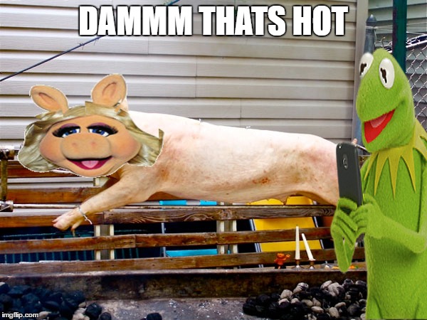 the pig had it coming  | DAMMM THATS HOT | image tagged in memes,kermit the frog,miss piggy,roast,hot,i love bacon | made w/ Imgflip meme maker