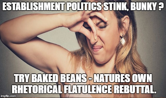 Establishment Politics | ESTABLISHMENT POLITICS STINK, BUNKY
? TRY BAKED BEANS - NATURES OWN RHETORICAL FLATULENCE REBUTTAL. | image tagged in dnc,clinton | made w/ Imgflip meme maker