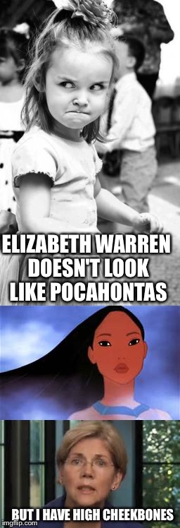 "HOW" can she say this? |  ELIZABETH WARREN DOESN'T LOOK LIKE POCAHONTAS; BUT I HAVE HIGH CHEEKBONES | image tagged in memes | made w/ Imgflip meme maker