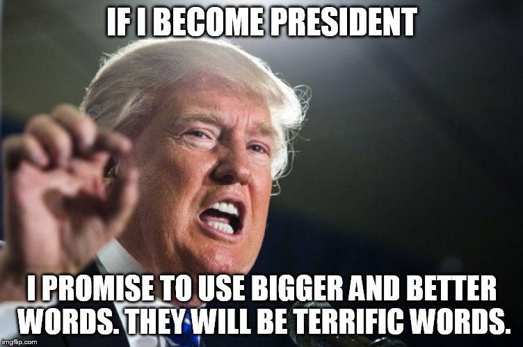 donald trump | IF I BECOME PRESIDENT; I PROMISE TO USE BIGGER AND BETTER WORDS. THEY WILL BE TERRIFIC WORDS. | image tagged in donald trump | made w/ Imgflip meme maker