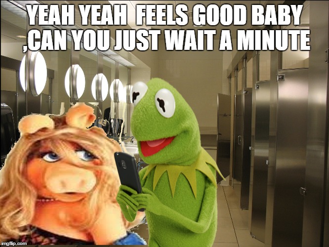 modern romance  | YEAH YEAH  FEELS GOOD BABY  ,CAN YOU JUST WAIT A MINUTE | image tagged in memes,miss piggy,kermit the frog,sexy,first world problems,bathroom | made w/ Imgflip meme maker