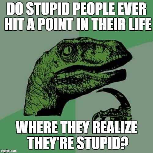 Philosoraptor | DO STUPID PEOPLE EVER HIT A POINT IN THEIR LIFE; WHERE THEY REALIZE THEY'RE STUPID? | image tagged in memes,philosoraptor | made w/ Imgflip meme maker