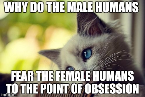 First World Problems Cat |  WHY DO THE MALE HUMANS; FEAR THE FEMALE HUMANS TO THE POINT OF OBSESSION | image tagged in memes,first world problems cat | made w/ Imgflip meme maker