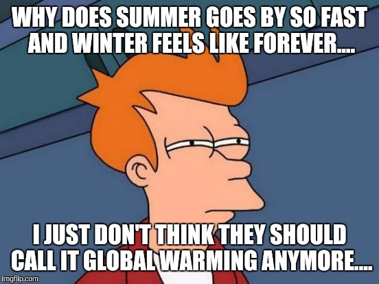 When you look at the calender and say shit winter's right around the corner! | WHY DOES SUMMER GOES BY SO FAST AND WINTER FEELS LIKE FOREVER.... I JUST DON'T THINK THEY SHOULD CALL IT GLOBAL WARMING ANYMORE.... | image tagged in memes,futurama fry | made w/ Imgflip meme maker