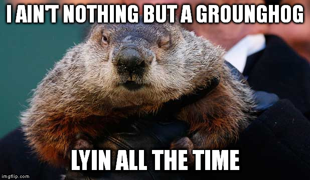 I AIN'T NOTHING BUT A GROUNGHOG LYIN ALL THE TIME | made w/ Imgflip meme maker