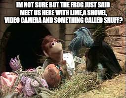 its a rough industry | IM NOT SURE BUT THE FROG JUST SAID MEET US HERE WITH LIME,A SHOVEL, VIDEO CAMERA AND SOMETHING CALLED SNUFF? | image tagged in memes,miss piggy,porn,kermit,muppets | made w/ Imgflip meme maker