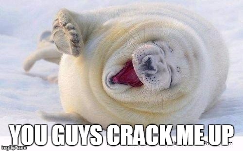 Laughing seal you guys crack me up | YOU GUYS CRACK ME UP | image tagged in laughing seal,crack me up,rofl,seal | made w/ Imgflip meme maker