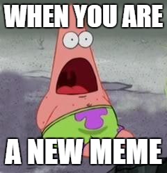 Suprised Patrick | WHEN YOU ARE; A NEW MEME | image tagged in suprised patrick | made w/ Imgflip meme maker