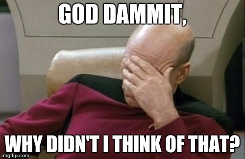 Captain Picard Facepalm Meme | GOD DAMMIT, WHY DIDN'T I THINK OF THAT? | image tagged in memes,captain picard facepalm | made w/ Imgflip meme maker