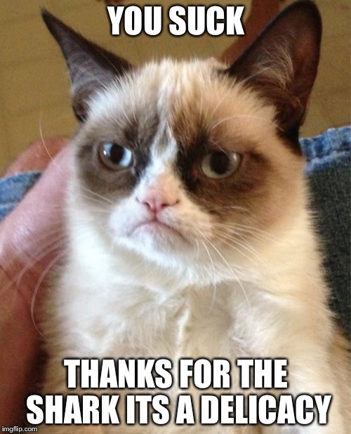 Grumpy Cat Meme | YOU SUCK THANKS FOR THE SHARK ITS A DELICACY | image tagged in memes,grumpy cat | made w/ Imgflip meme maker