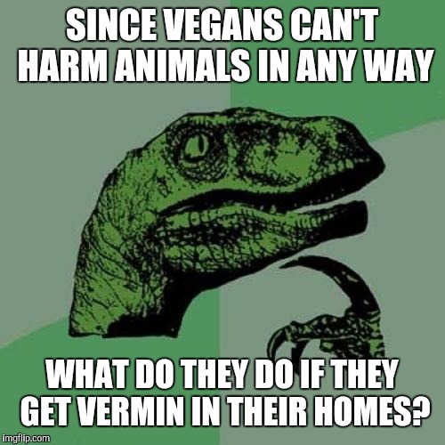 Philosoraptor Meme | SINCE VEGANS CAN'T HARM ANIMALS IN ANY WAY; WHAT DO THEY DO IF THEY GET VERMIN IN THEIR HOMES? | image tagged in memes,philosoraptor | made w/ Imgflip meme maker