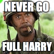 Never Go Full Harry | NEVER GO; FULL HARRY | image tagged in never go full retard,harry potter | made w/ Imgflip meme maker