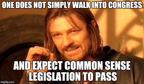 One Does Not Simply Meme | ONE DOES NOT SIMPLY WALK INTO CONGRESS; AND EXPECT COMMON SENSE LEGISLATION TO PASS | image tagged in memes,one does not simply | made w/ Imgflip meme maker