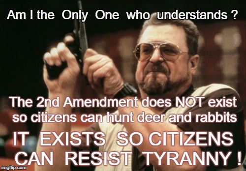 Am I the Only One ? | Am I the  Only  One  who  understands ? The 2nd Amendment does NOT exist so citizens can hunt deer and rabbits; IT  EXISTS  SO CITIZENS  CAN  RESIST  TYRANNY ! | image tagged in memes,am i the only one around here,guns,tyranny | made w/ Imgflip meme maker