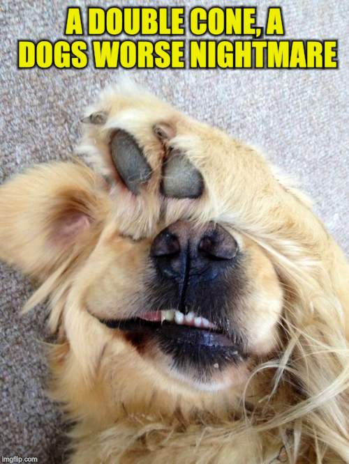 A DOUBLE CONE, A DOGS WORSE NIGHTMARE | made w/ Imgflip meme maker