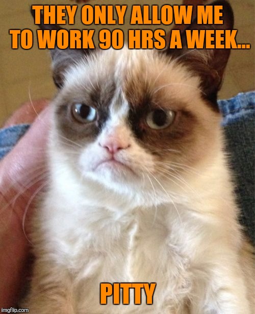 Grumpy Cat Meme | THEY ONLY ALLOW ME TO WORK 90 HRS A WEEK... PITTY | image tagged in memes,grumpy cat | made w/ Imgflip meme maker